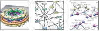 Nuclear Pore Complex